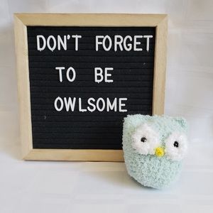 Owl Keychain